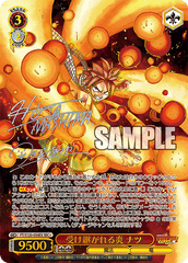 Weiss Schwarz Booster FAIRY TAIL 100 Year Quest