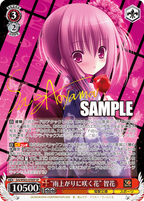 Weiss Schwarz Booster Dengeki Bunko