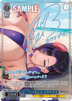 Weiss Schwarz Booster Brown Dust 2